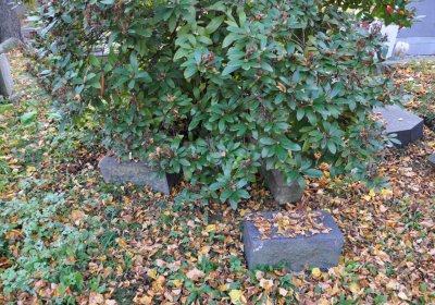 Chomutov městský, Omnium, 2020