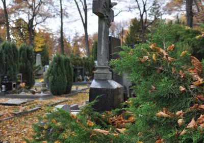 Chomutov městský, Omnium, 2020