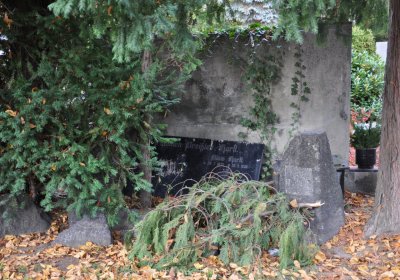 Chomutov městský, Omnium, 2020