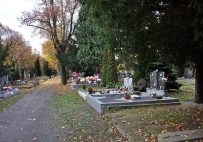 Chomutov městský, Omnium, 2020