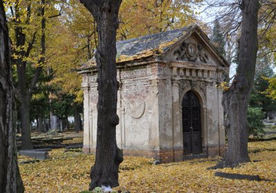 Chomutov městský, Omnium, 2020