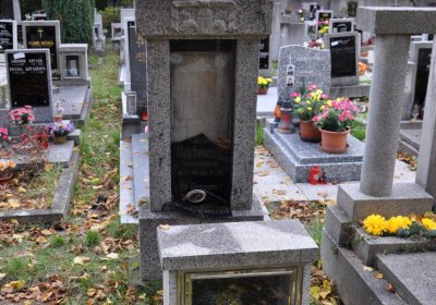 Chomutov městský, Omnium, 2020