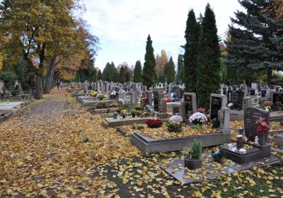 Chomutov městský, Omnium, 2020