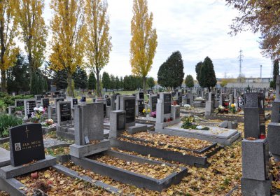 Chomutov městský, Omnium, 2020