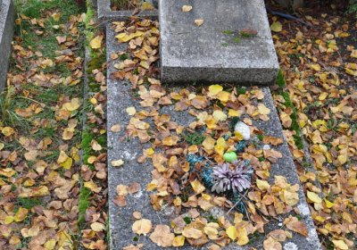 Chomutov městský, Omnium, 2020