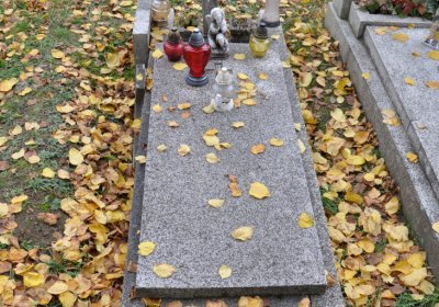 Chomutov městský, Omnium, 2020