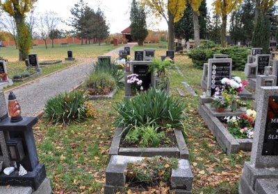 Chomutov městský, Omnium, 2020