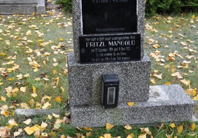 Chomutov městský, Omnium, 2020