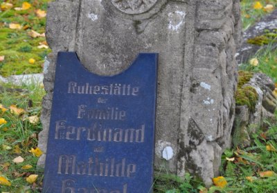 Chomutov městský, Omnium, 2020