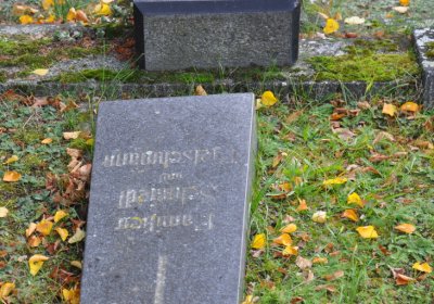 Chomutov městský, Omnium, 2020