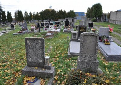 Chomutov městský, Omnium, 2020