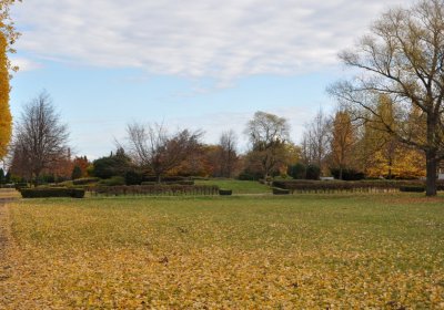 Chomutov městský, Omnium, 2020