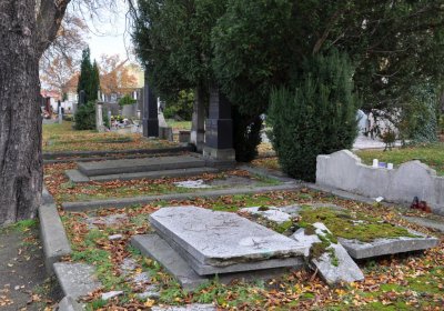 Chomutov městský, Omnium, 2020