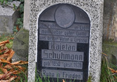 Chomutov městský, Omnium, 2020