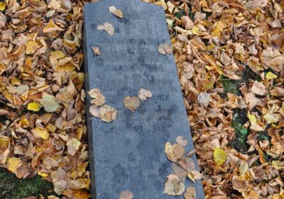 Chomutov městský, Omnium, 2020