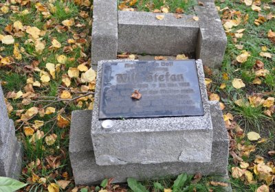 Chomutov městský, Omnium, 2020