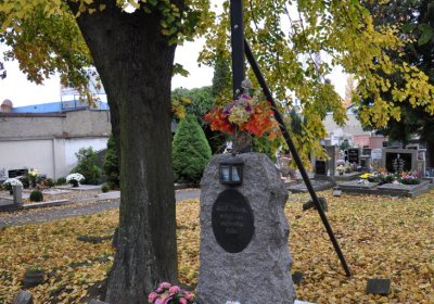 Chomutov městský, Omnium, 2020