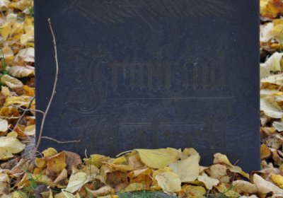 Chomutov městský, Omnium, 2020