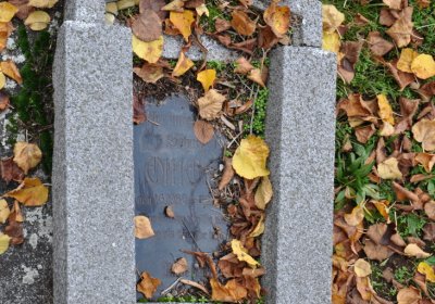 Chomutov městský, Omnium, 2020