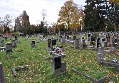 Chomutov městský, Omnium, 2020