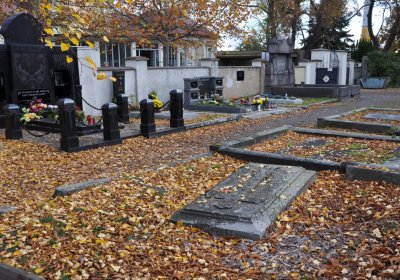 Chomutov městský, Omnium, 2020