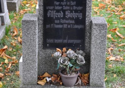 Chomutov městský, Omnium, 2020