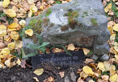 Chomutov městský, Omnium, 2020