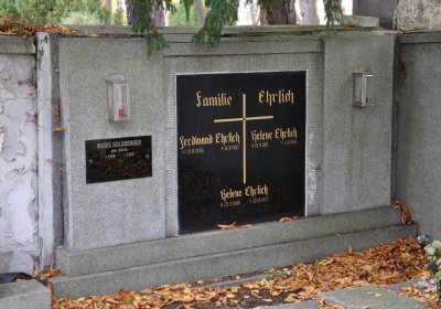 Chomutov městský, Omnium, 2020