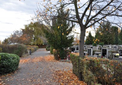 Chomutov městský, Omnium, 2020