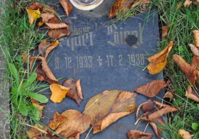 Chomutov městský, Omnium, 2020