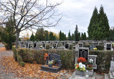 Chomutov městský, Omnium, 2020