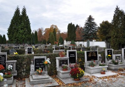 Chomutov městský, Omnium, 2020