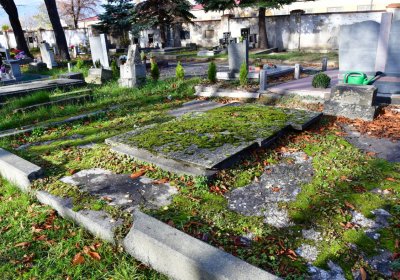 Chomutov městský, Omnium, 2020