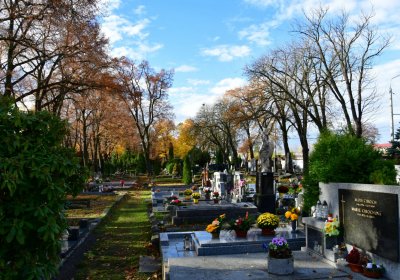 Chomutov městský, Omnium, 2020