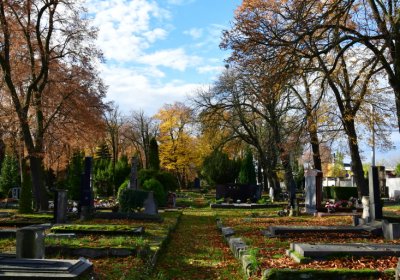 Chomutov městský, Omnium, 2020