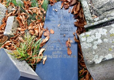 Chomutov městský, Omnium, 2020