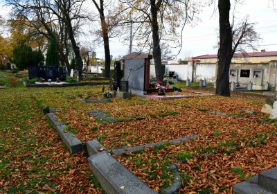 Chomutov městský, Omnium, 2020