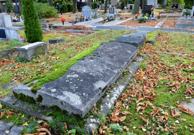 Chomutov městský, Omnium, 2020