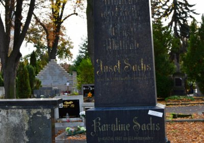 Chomutov městský, Omnium, 2020