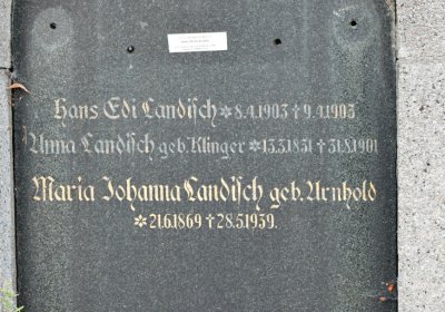 Chomutov městský, Omnium, 2020