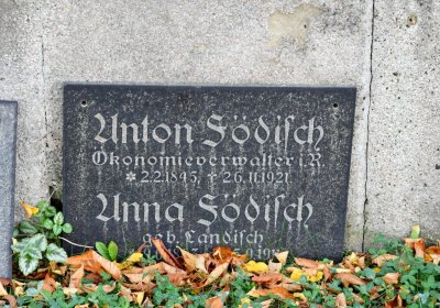 Chomutov městský, Omnium, 2020