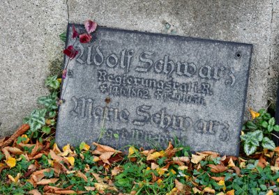 Chomutov městský, Omnium, 2020