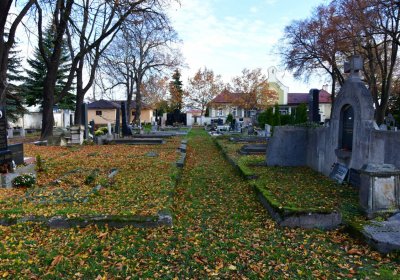 Chomutov městský, Omnium, 2020