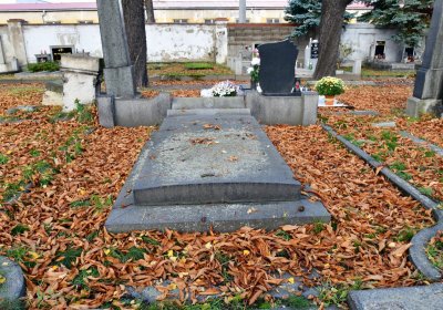 Chomutov městský, Omnium, 2020