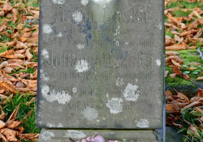 Chomutov městský, Omnium, 2020