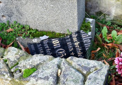 Chomutov městský, Omnium, 2020