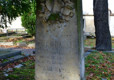 Chomutov městský, Omnium, 2020