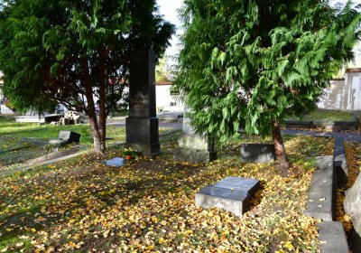 Chomutov městský, Omnium, 2020