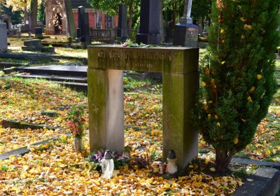 Chomutov městský, Omnium, 2020