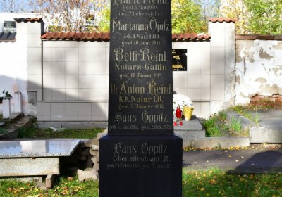 Chomutov městský, Omnium, 2020